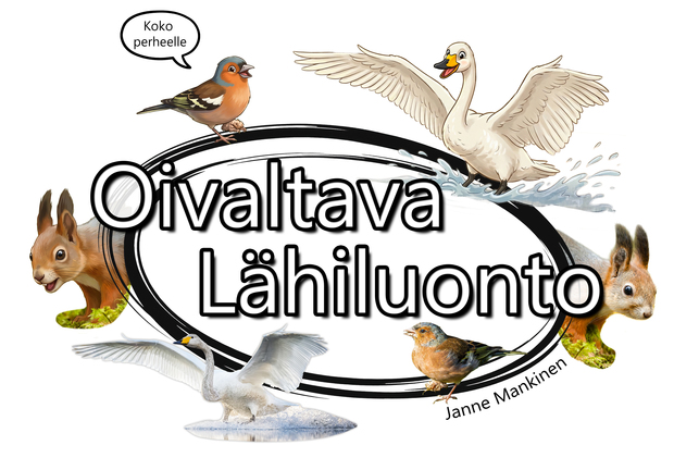 Oivaltava Lähiluonto kuva: Janne Mankinen Oivaltava Lähiluonto kuva: Janne Mankinen